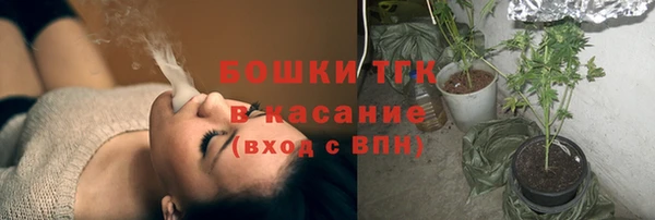стафф Медногорск