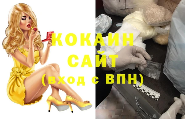стафф Медногорск