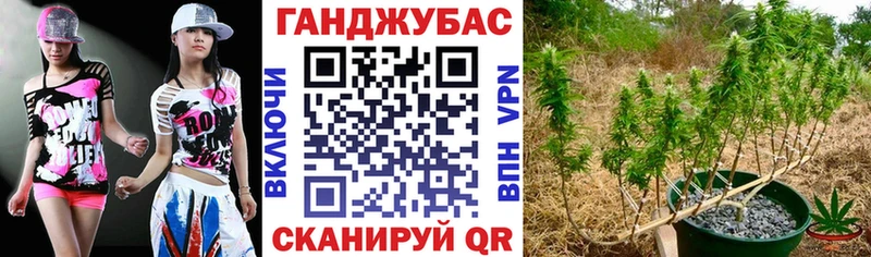 Каннабис тримм Купить где Заинск
